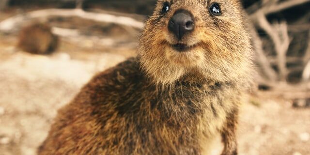 tobias-fischer-IGmYkKKU7W4-unsplash