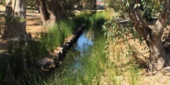 watercorp waterwise council