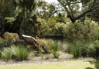 waterwisecouncilprog