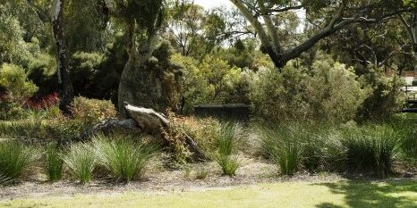 waterwisecouncilprog