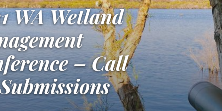 wetlands call for submissions